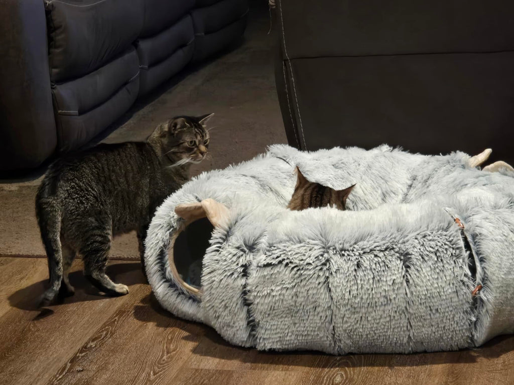 WillsPaw™ CozyTunnel Cat Cave