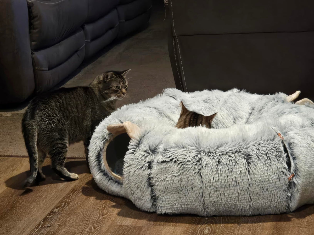 WillsPaw™ CozyTunnel Cat Cave