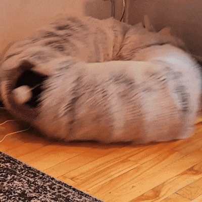 WillsPaw™ CozyTunnel Cat Cave